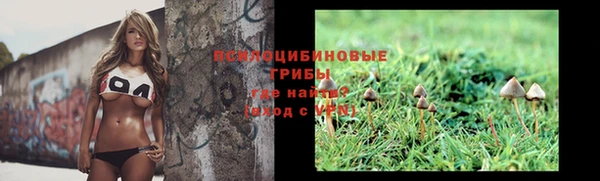 прущие грибы Баксан