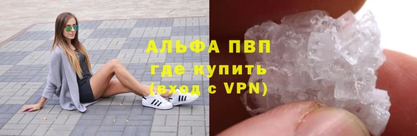 прущие грибы Баксан