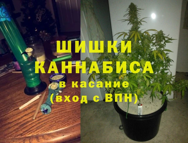 прущие грибы Баксан