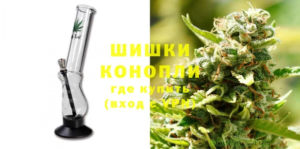 прущие грибы Баксан