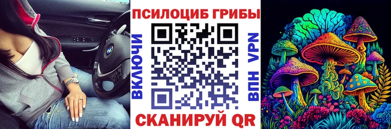 Галлюциногенные грибы Psilocybe  Югорск 